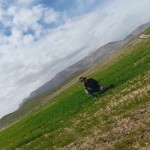 تصویر کاربر با کد 206749