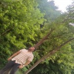 تصویر کاربر با کد 1258015