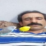تصویر کاربر با کد 433583