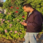 تصویر کاربر با کد 1132115
