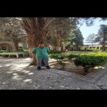 تصویر کاربر با کد 410646