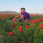 تصویر پروفایل امید