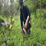 تصویر کاربر با کد 1081370