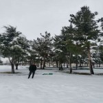 تصویر کاربر با کد 242668