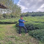 تصویر کاربر با کد 238128