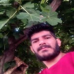 تصویر کاربر با کد 444246