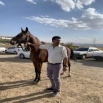 تصویر کاربر با کد 882986