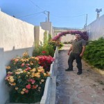 تصویر کاربر با کد 1303304