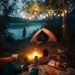 برنامه دوستینو چند عضو آنلاین دارد؟
